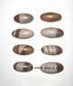 Picture of 2.5 inch Shiva Lingam, Picture 1