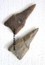 Picture of Neolithic broad base arrowheads, Picture 1