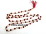 Picture of Shell Rudraksha Jap mala, Picture 1