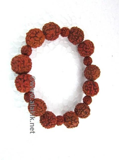 Picture of Rudraksha 2x1Beads bracelet