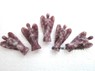 Picture of Lepidolite 2 inch Angels, Picture 1