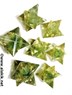 Picture of Green Aventurine Orgone Merkaba Star, Picture 1
