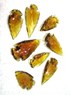 Picture of Yellow Glass Arrowheads, Picture 1