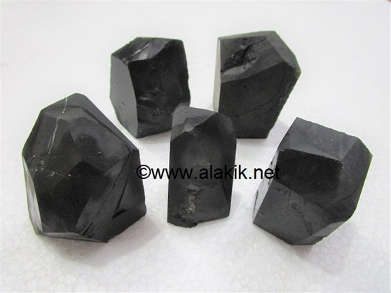Picture of Shungite Natural Points