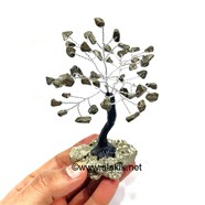 Picture of Golden Pyrite 50bds Tree