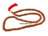 Picture of 7-9 Mukhi Rudraksh 10x15mm Tappered Jap Mala, Picture 1